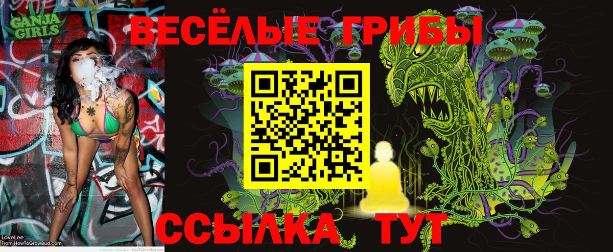Всеволожск  Псилоцибиновые грибы Psilocybine cubensis  Вход с VPN  Псилоцибиновые грибы Psilocybine cubensis 